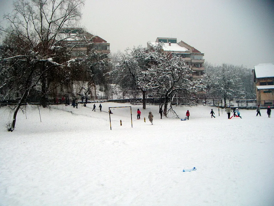 Popicăria