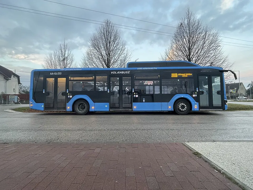 Lepkekert