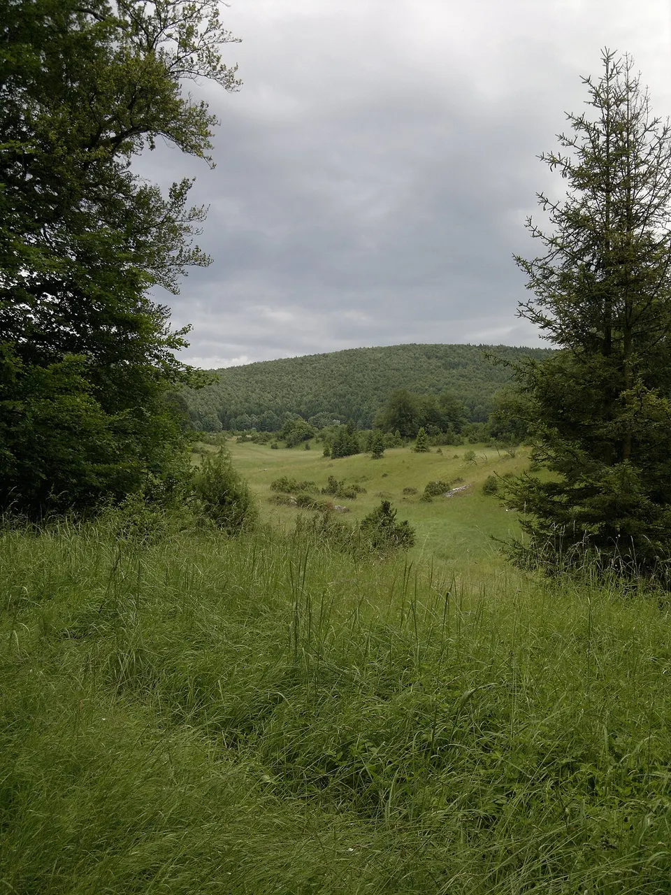 Fekete-sári-hasadék