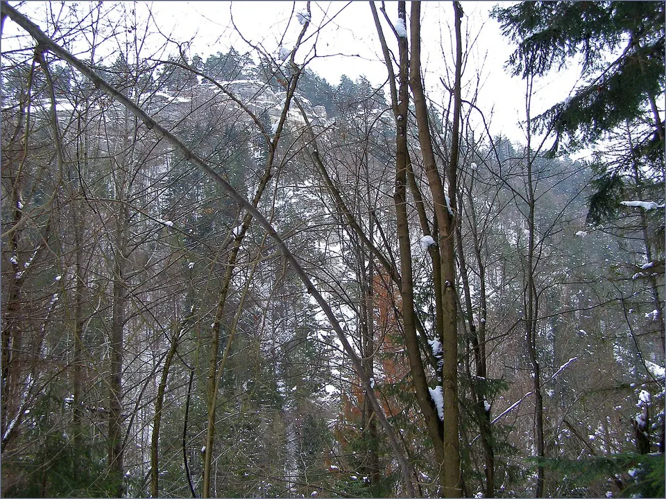Výhľad