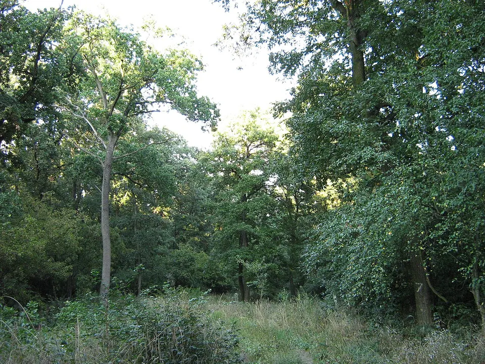 Berek-erdő tanösvény
