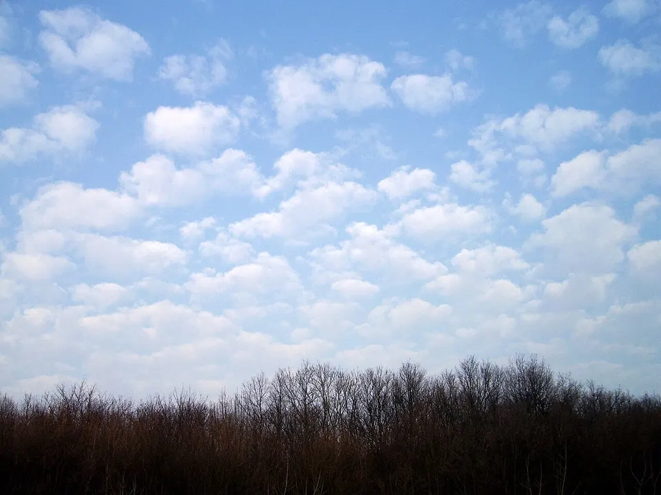 Tájház - Büfé