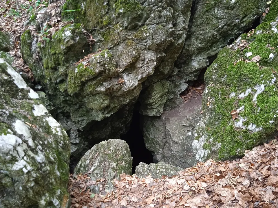 Felső-forrási-barlang