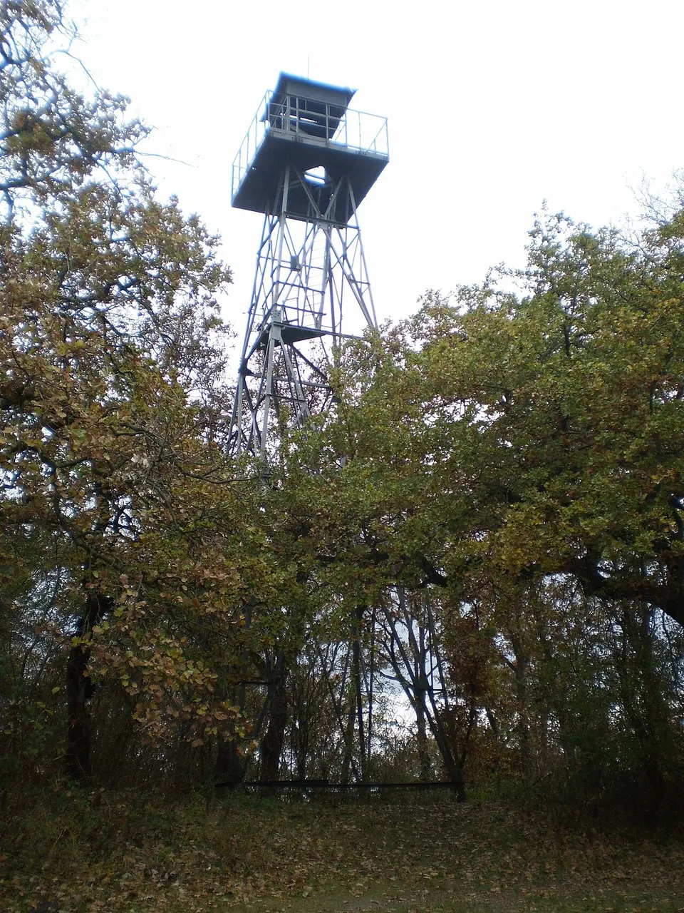 Őrtorony