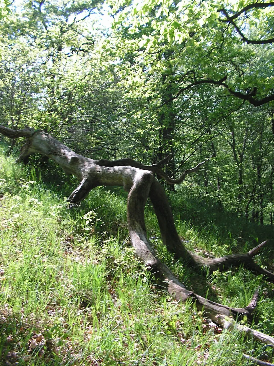 Három-kúti Remete-barlang
