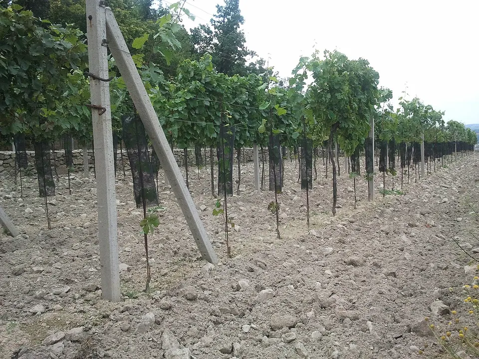 Pod Gaštankou - Farma v Modre