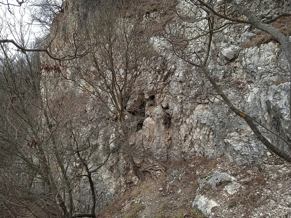 Rácskai-barlang