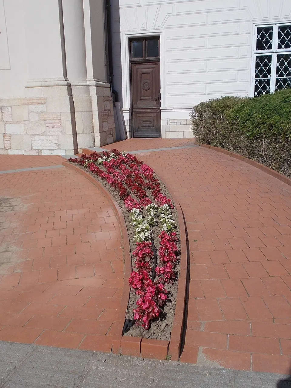 Bakonyi Természettudományi Múzeum
