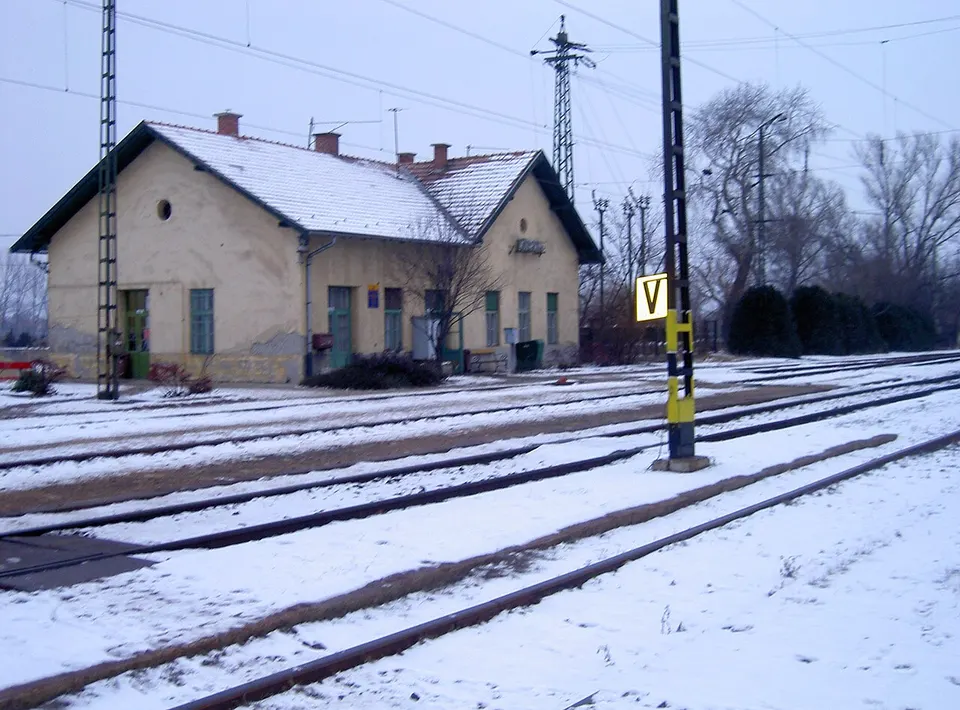 Zümmögő tanösvény (Környei-tó)