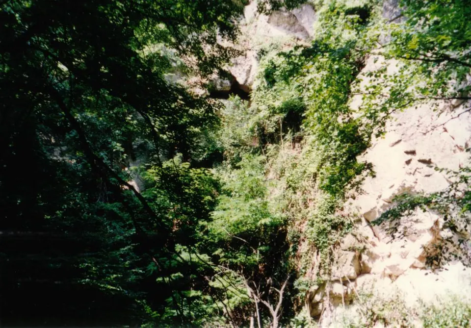Domini-barlang