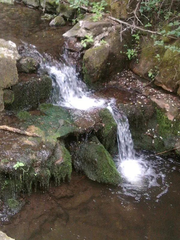 Sokolia skala