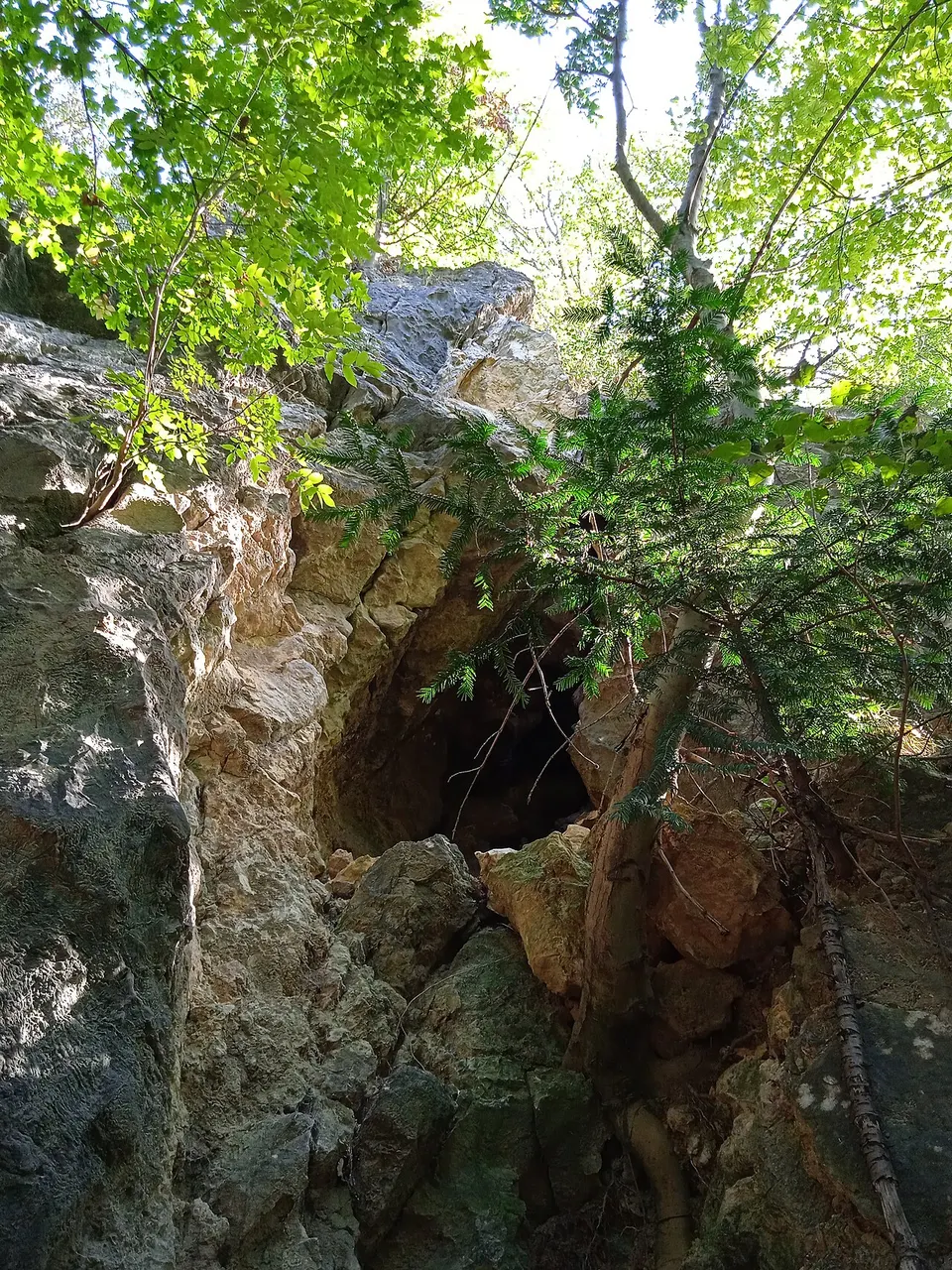Fazekas-hegyi-barlang
