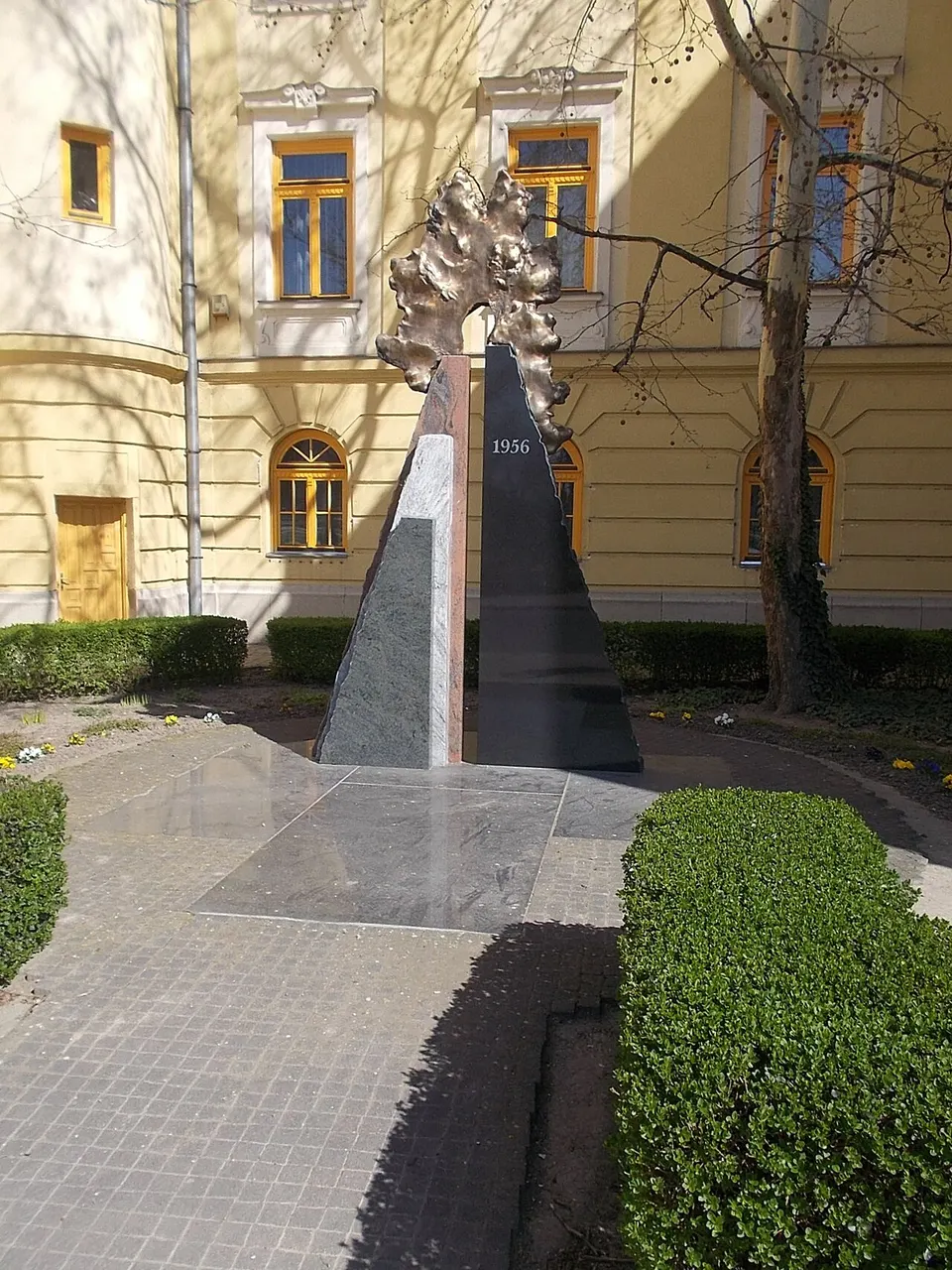 Toronykilátó