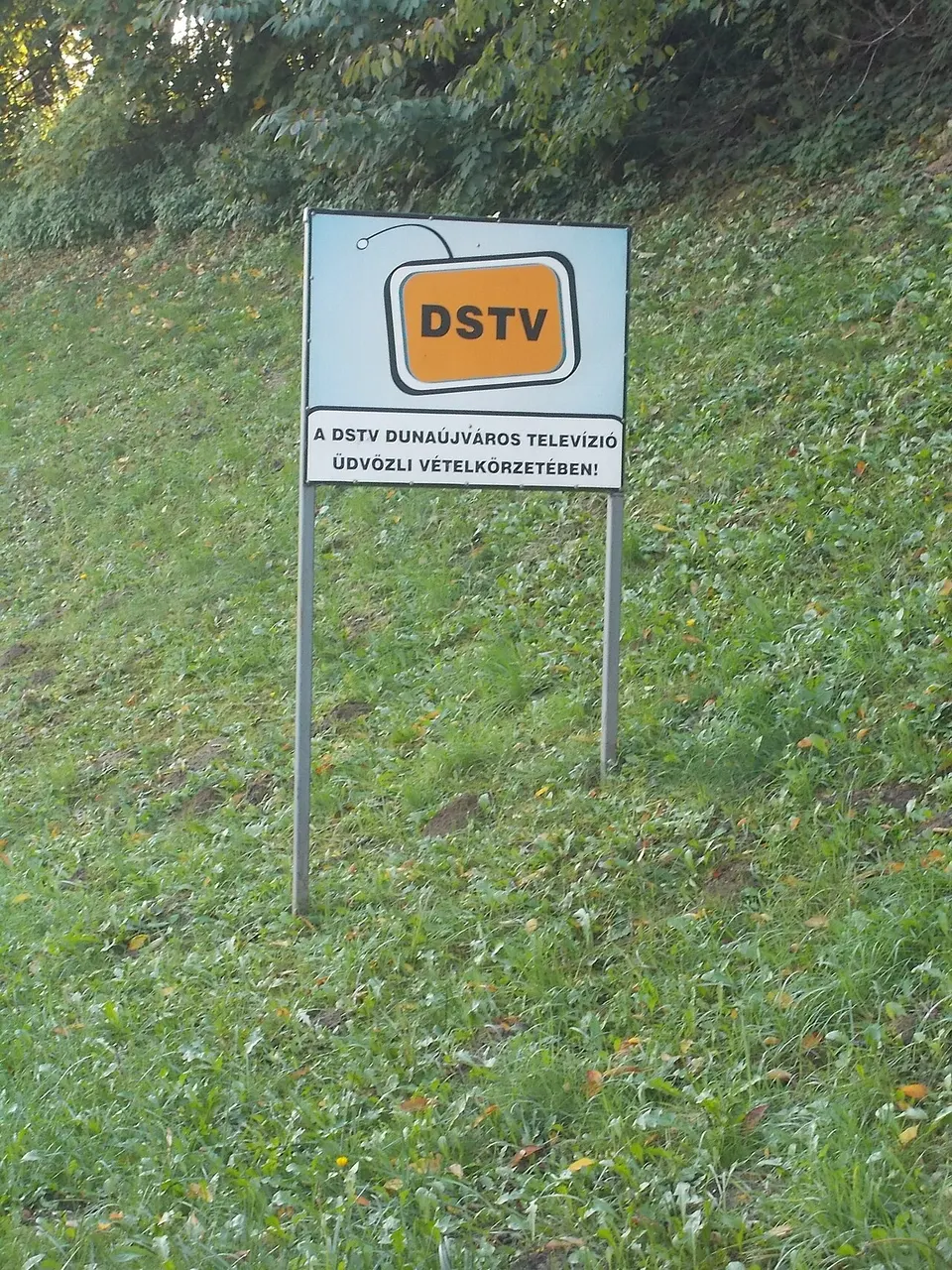 Százszorszép Játszóház