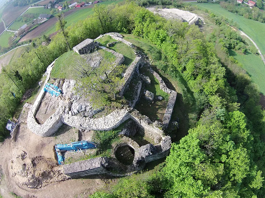 Ribelj