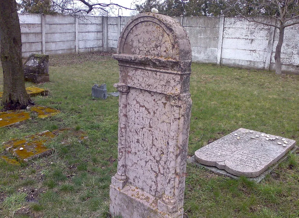 Vadfarm ès állatsimogató