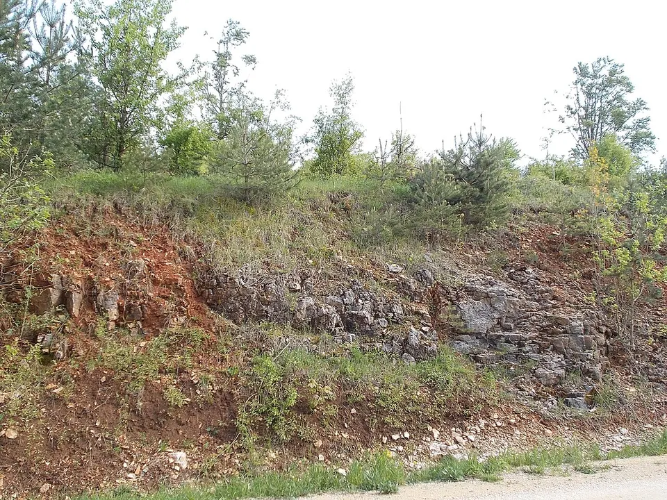 Borzás-hegyi sziklaüreg