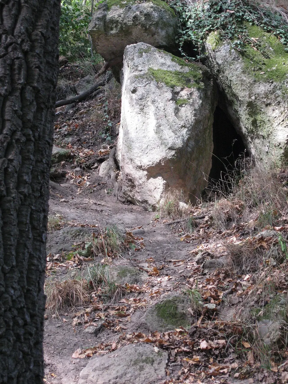 Vízesés-alatti-barlang