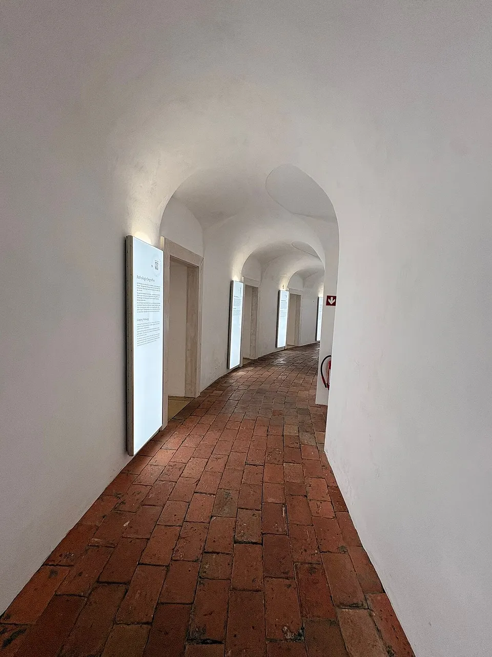 Pathologisch-anatomische Sammlung im Narrenturm