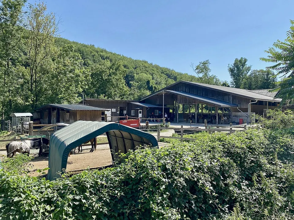 Islandpferdegestüt Babenberg