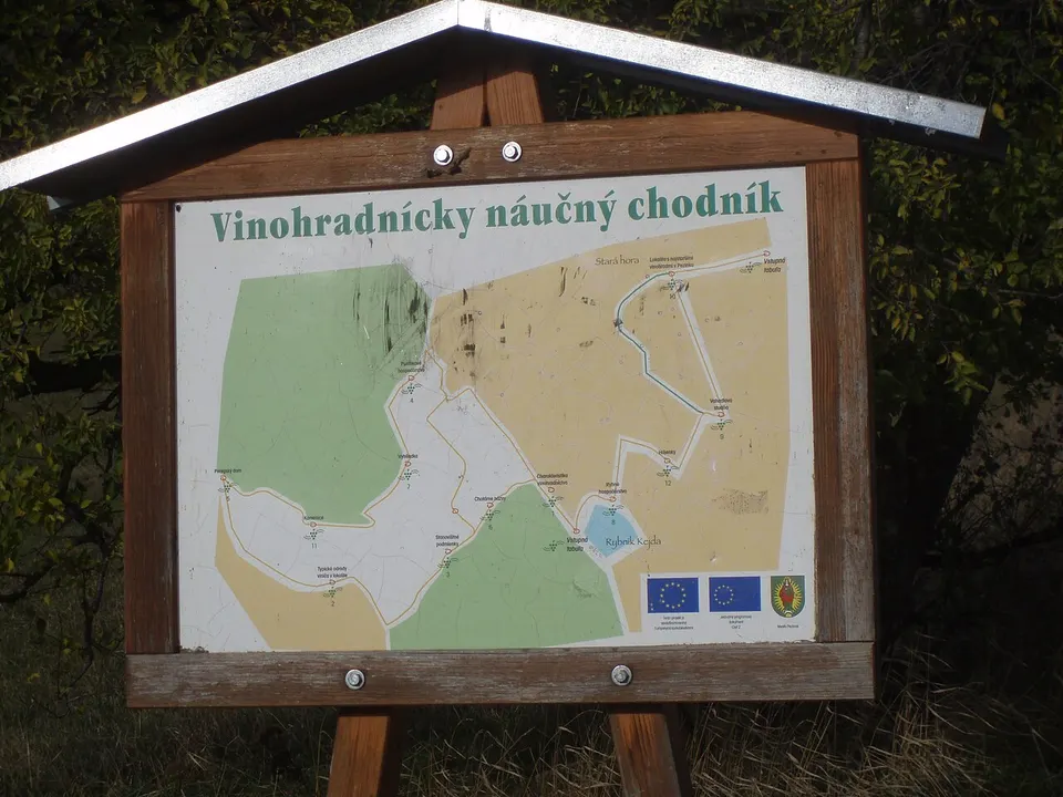 Vyhliadka