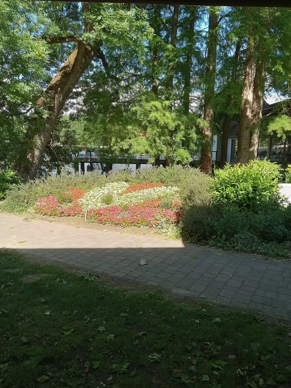 Lombkorona Sétány, Hévíz