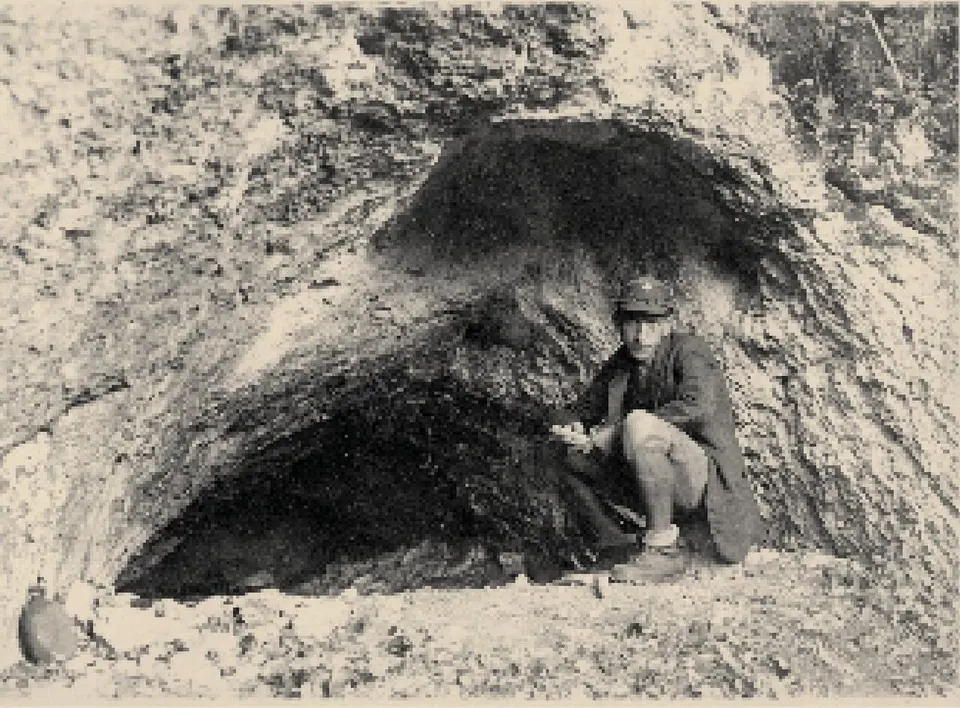 Farkas-kői-sziklaüreg