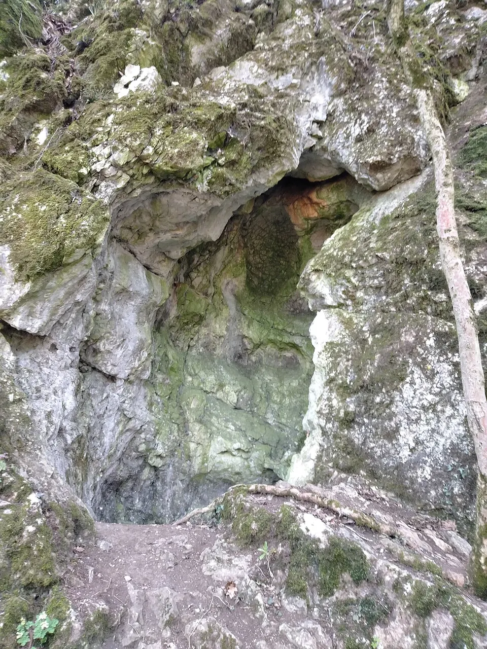Lepke-barlang