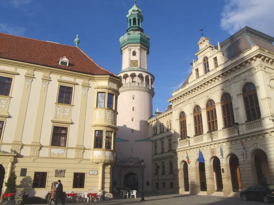 Erdészeti Múzeum