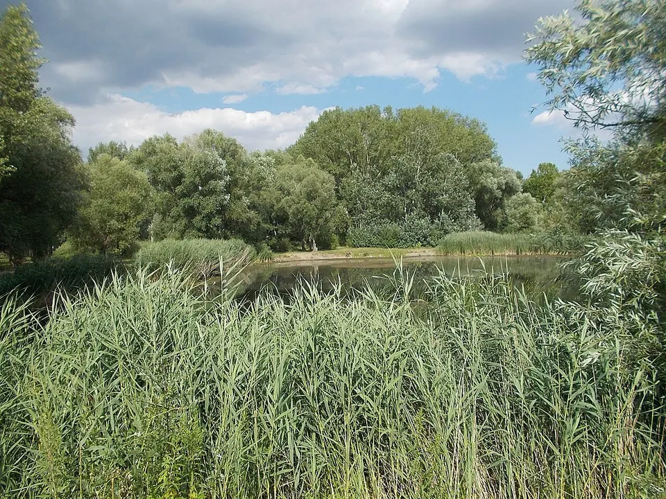 Vilmos park tanösvény