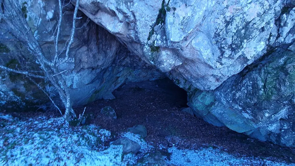 Grota Ursului