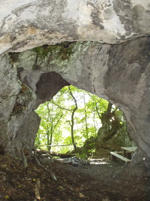 Sólyom-kúti-sziklaüreg