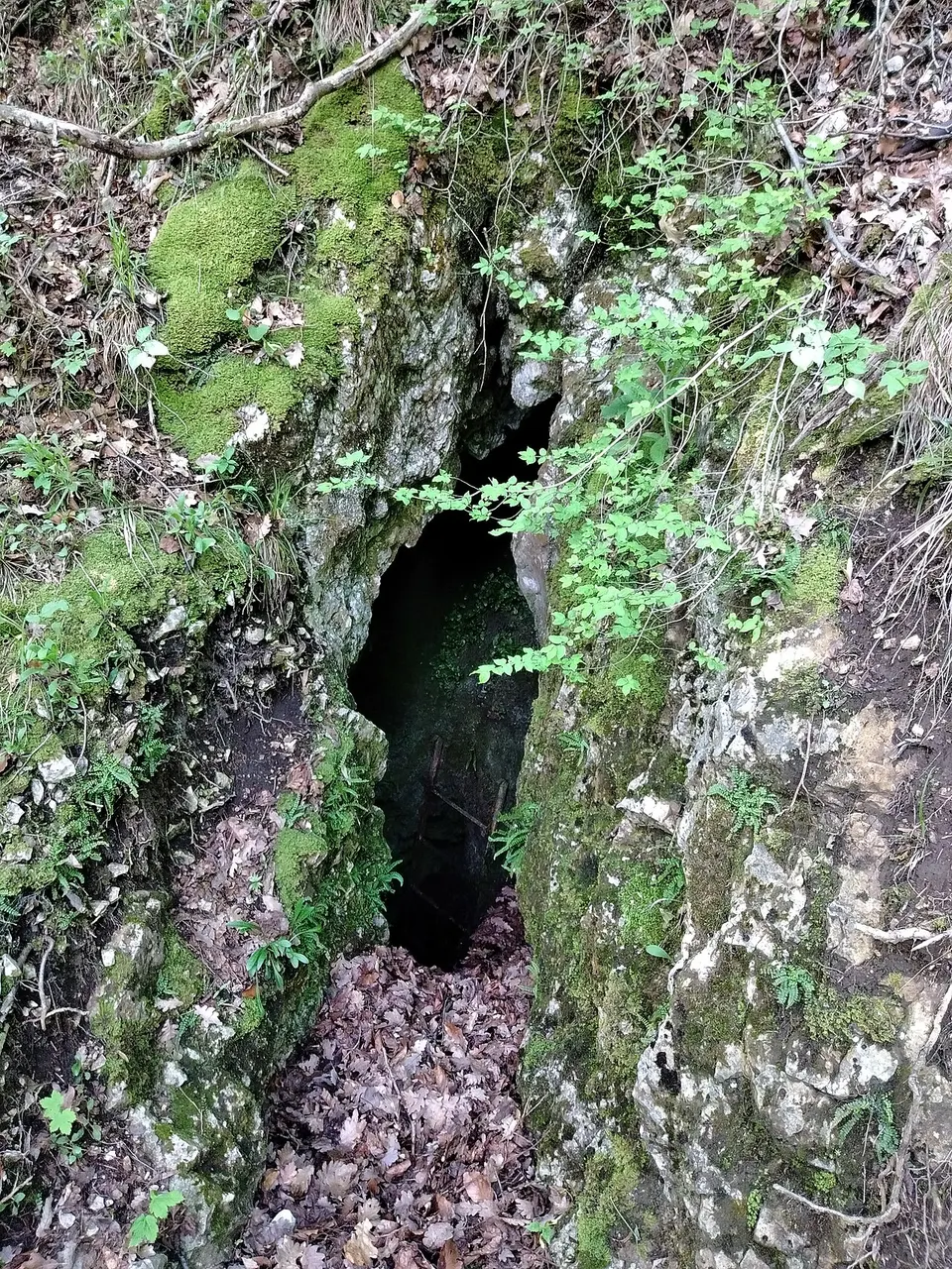 Szurdok-völgyi Felső-barlang