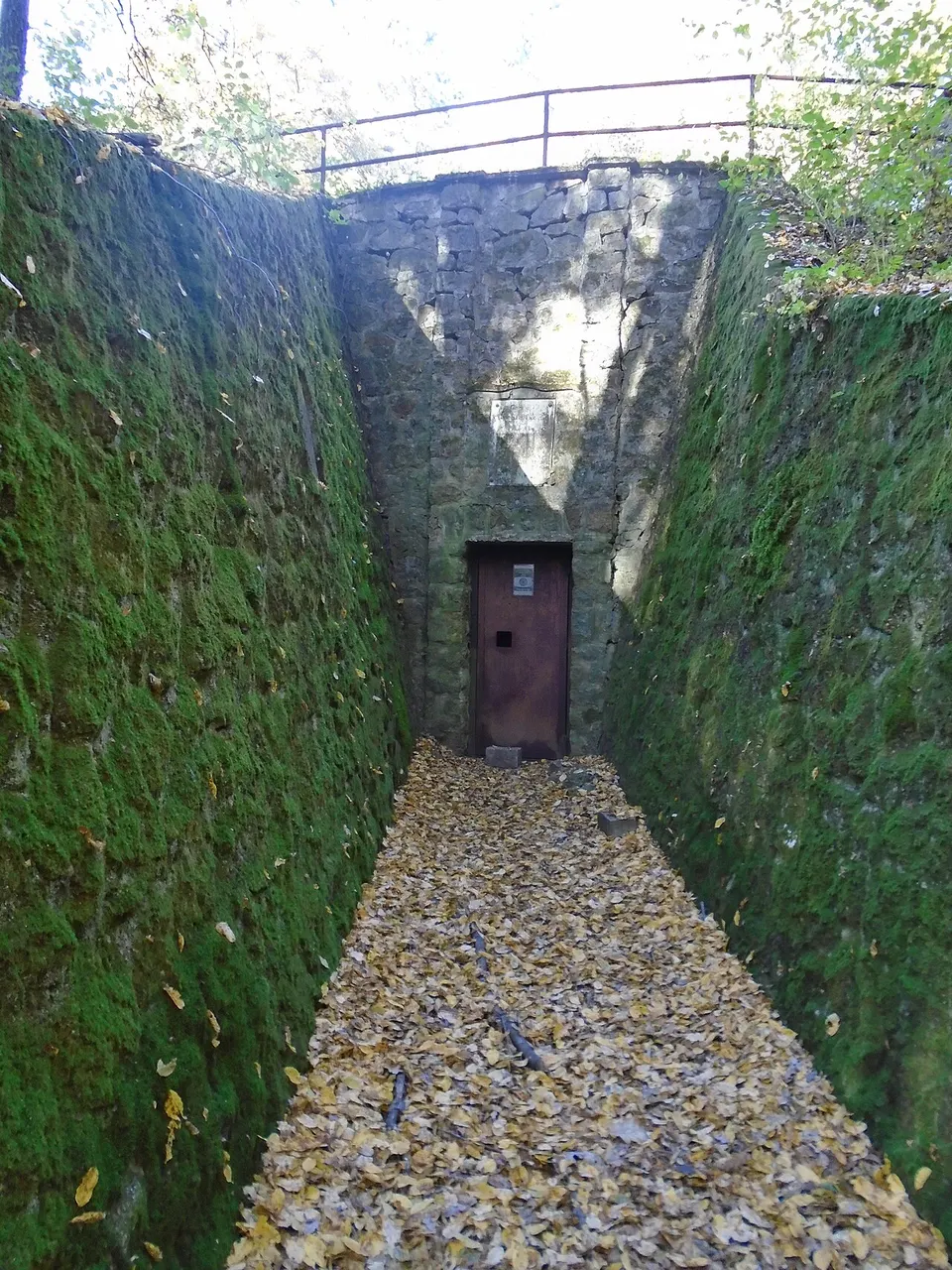 Szabadság-barlang
