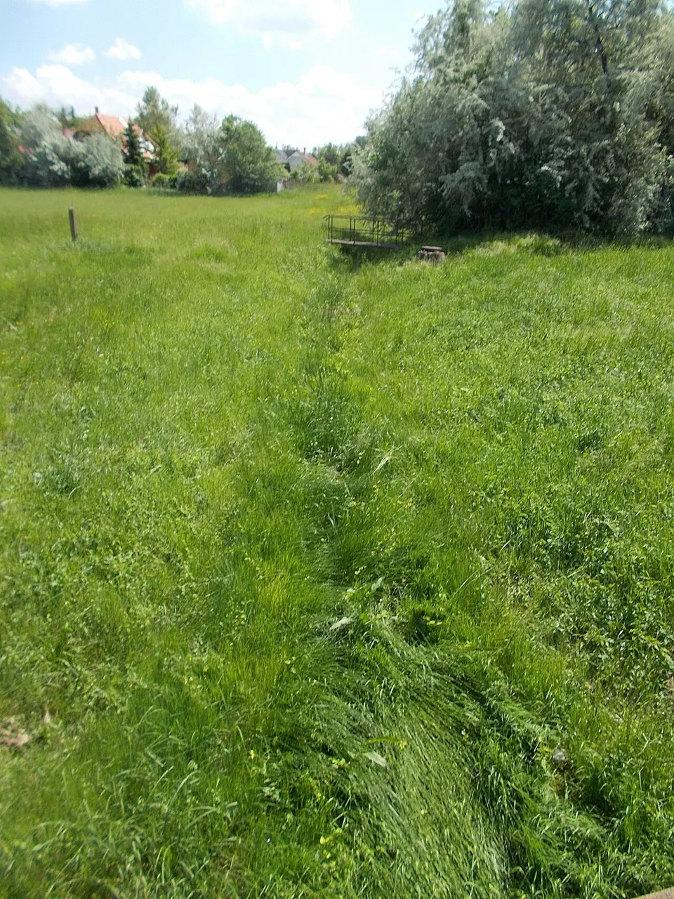 Kaktuszkert