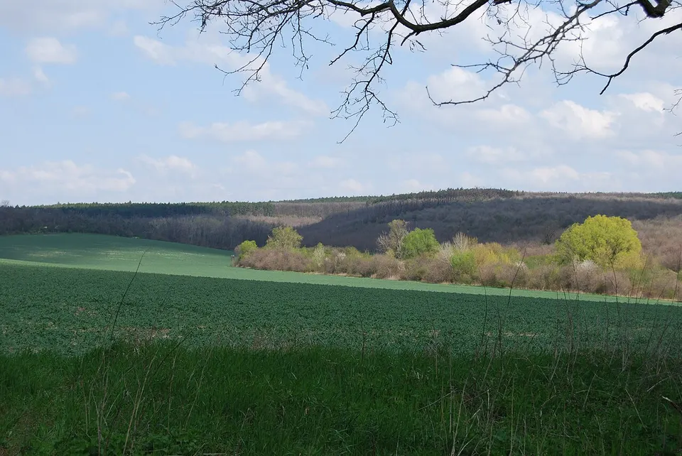 Zsivány-barlang