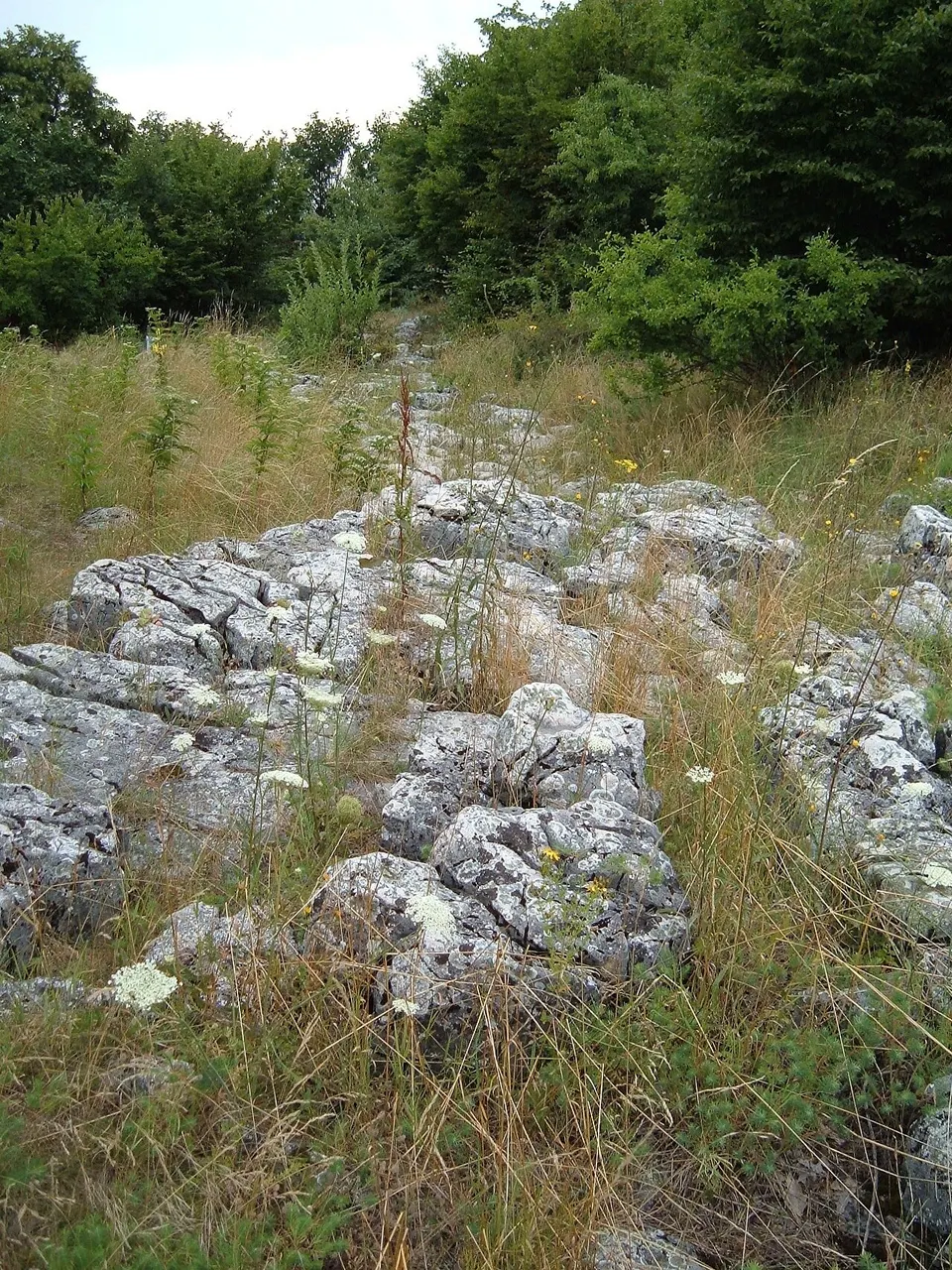 Eperjes tanösvény