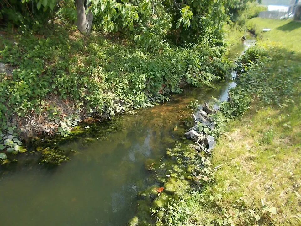 HarckocsiPark