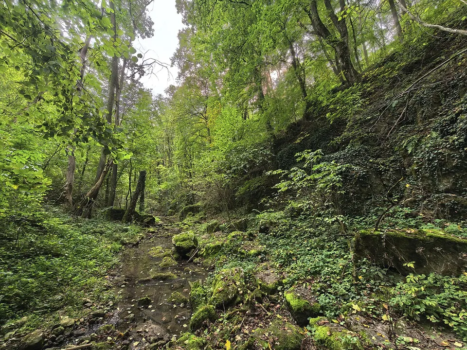 Helytörténeti kiállítás