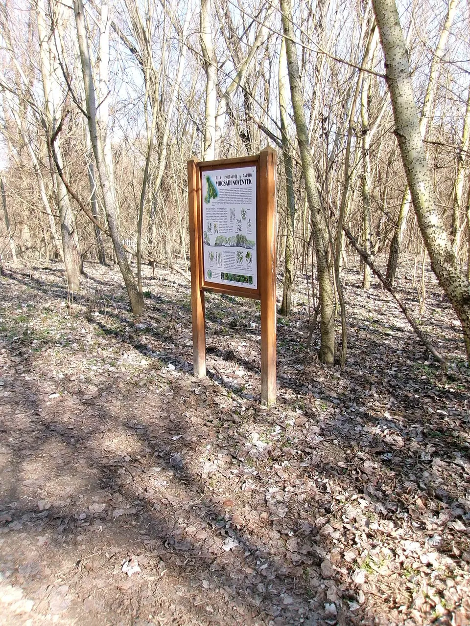 Madárles