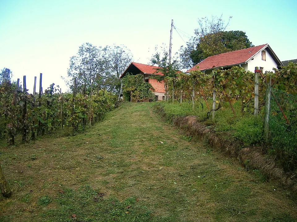 Vidikovac svetog Vinka