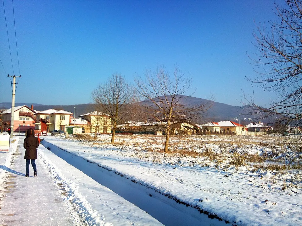 Unikornis lovarda