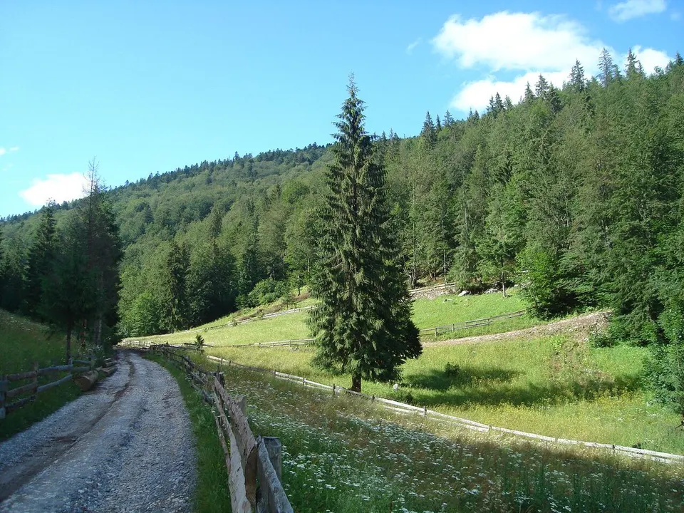 Cotețul Dobreștilor