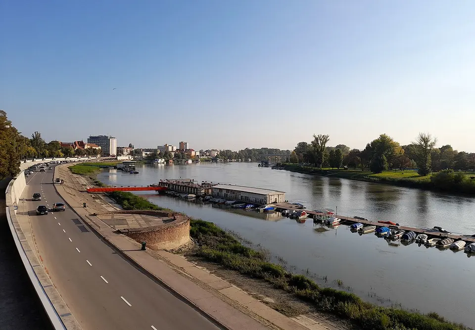 Vízibástya