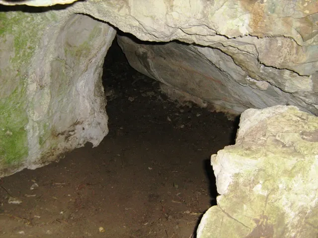 Neszmélyi Arborétum