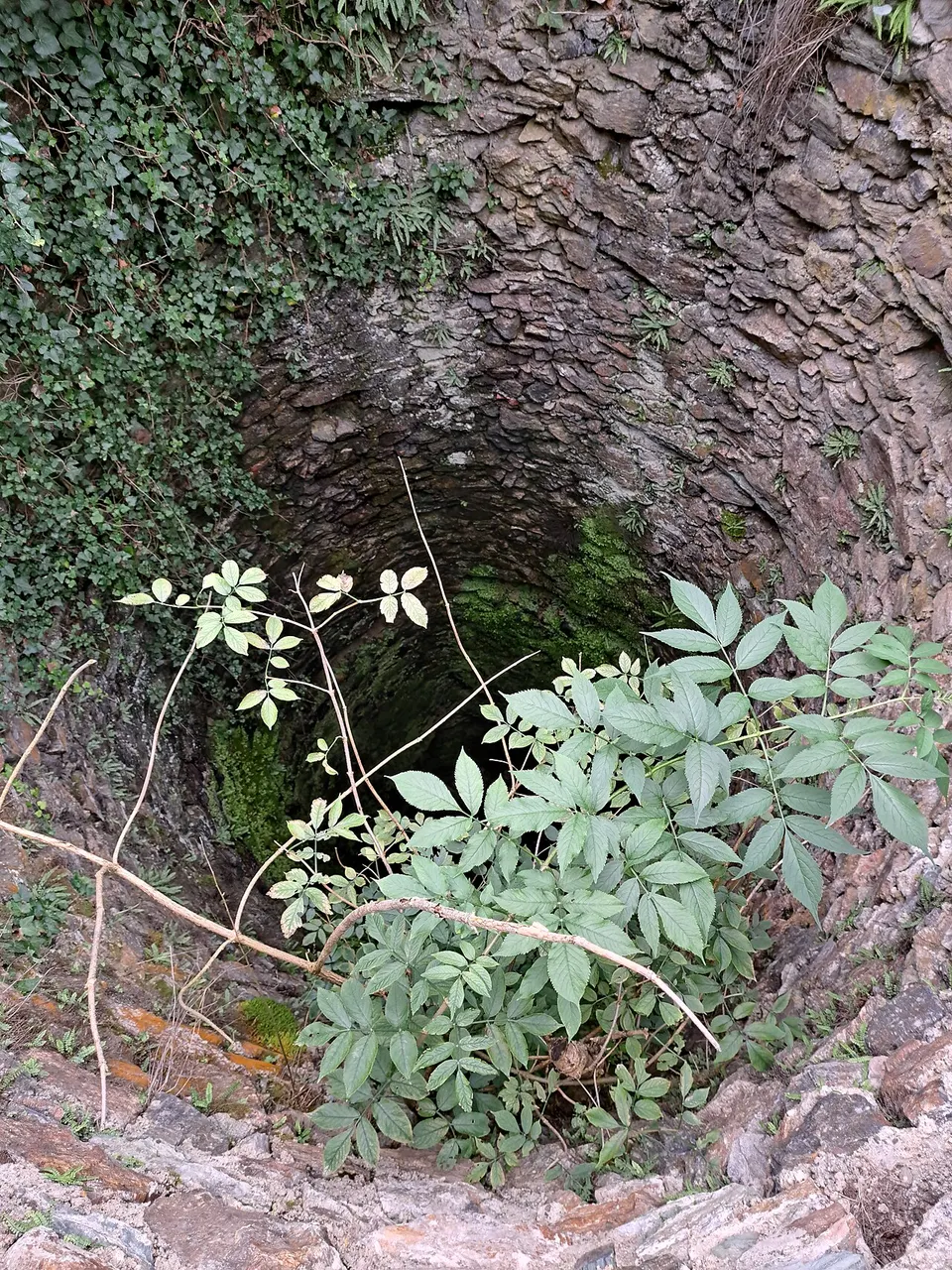 Burgruine Kirchschlag