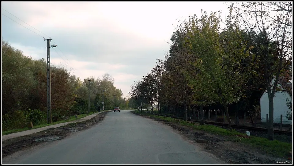 Fűvészkert és Vadállatmenhely