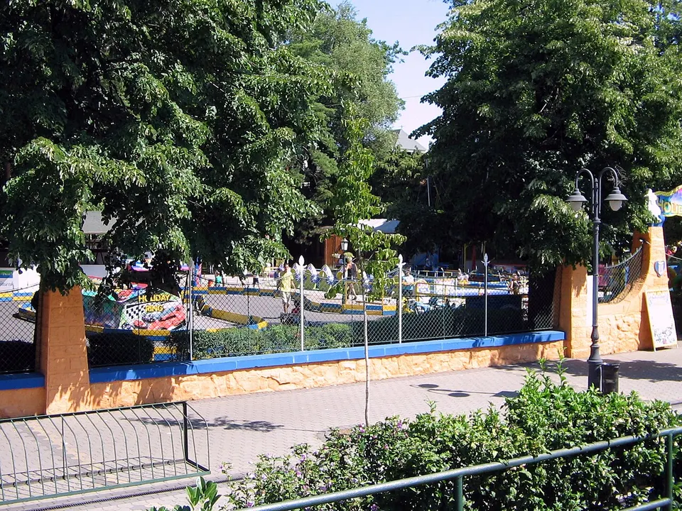 Hadi múzeum