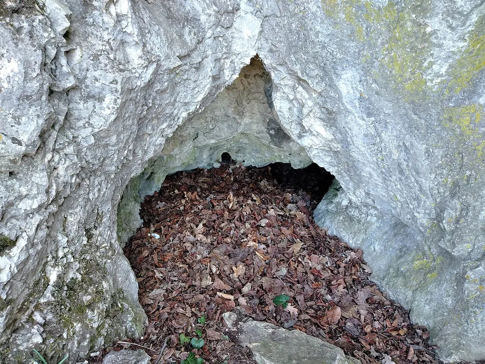 Vacska-barlang