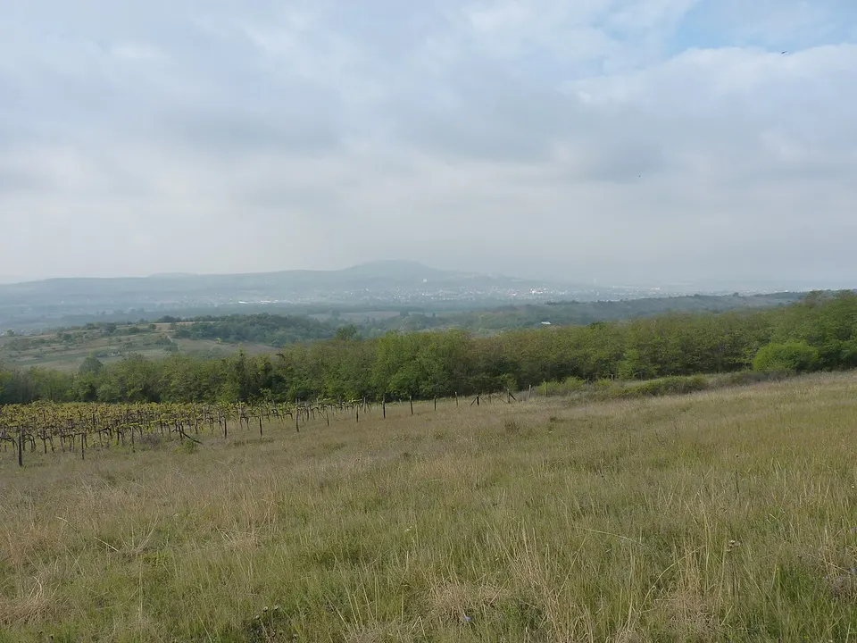 Öreg-szirti-barlang
